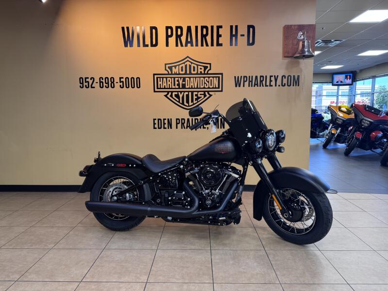 New Harley-Davidson Softail Low Rider ST Cruiser Motorcycle For