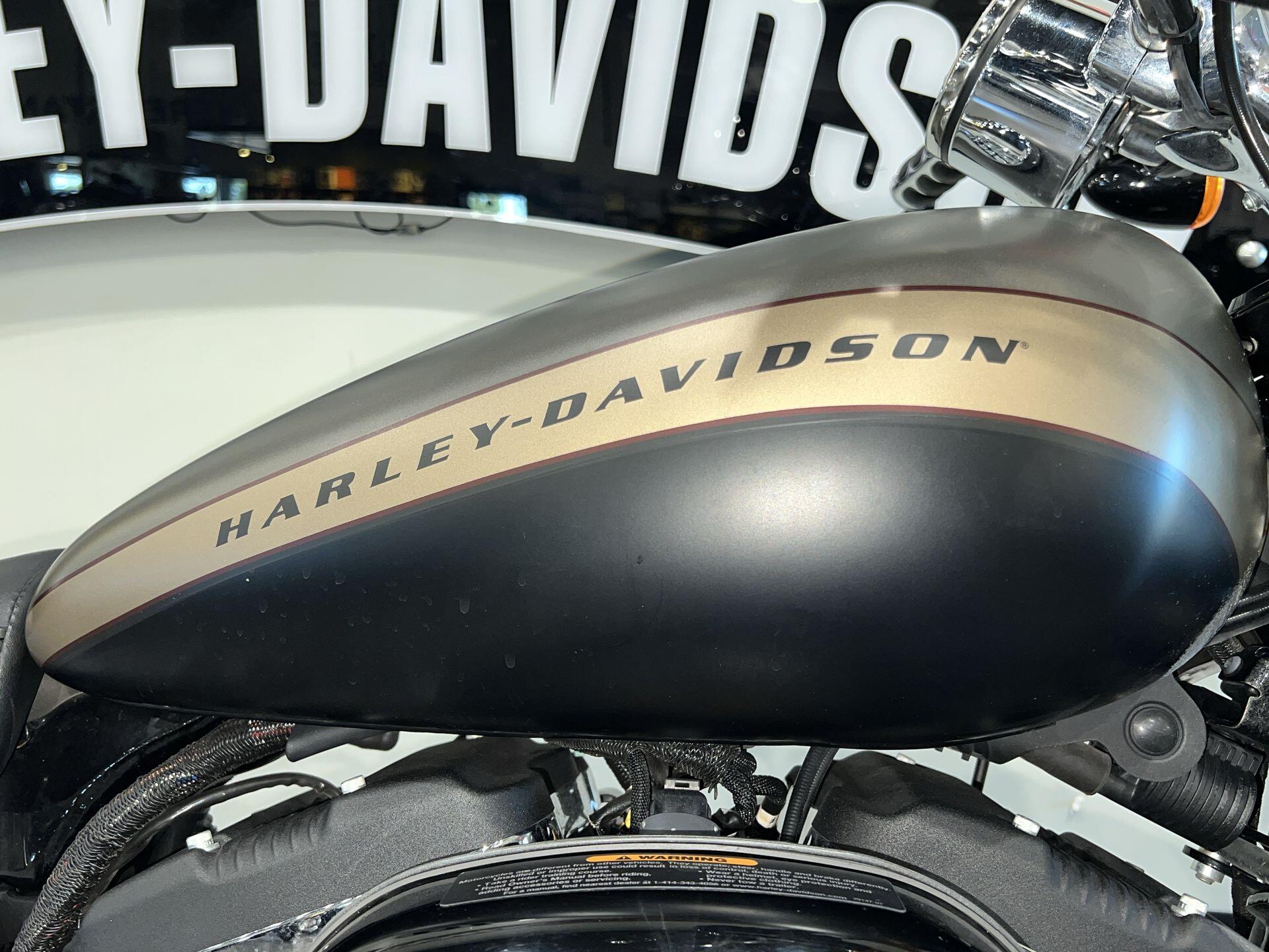 2018 Harley-Davidson® 1200 Custom XL1200C, photo 6