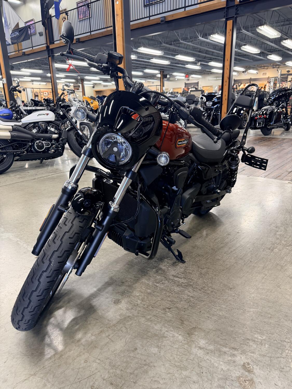 2025 Harley-Davidson® Nightster™ Special RH975S, photo 14