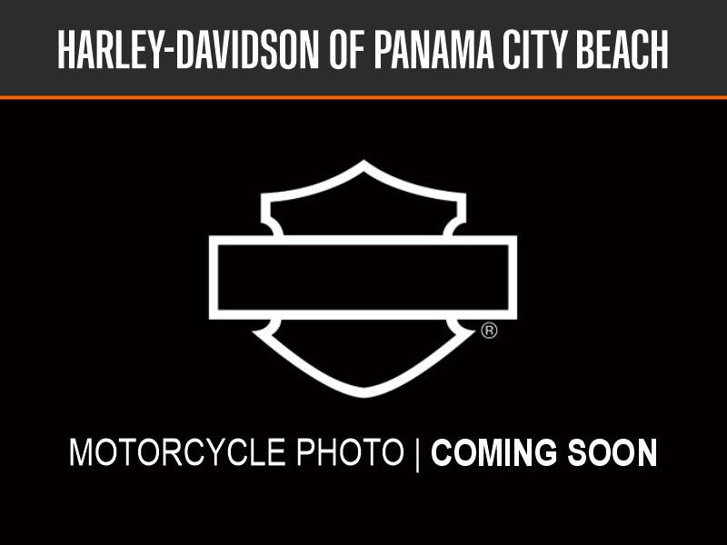 2020 Harley-Davidson® Road King® Special, photo 2