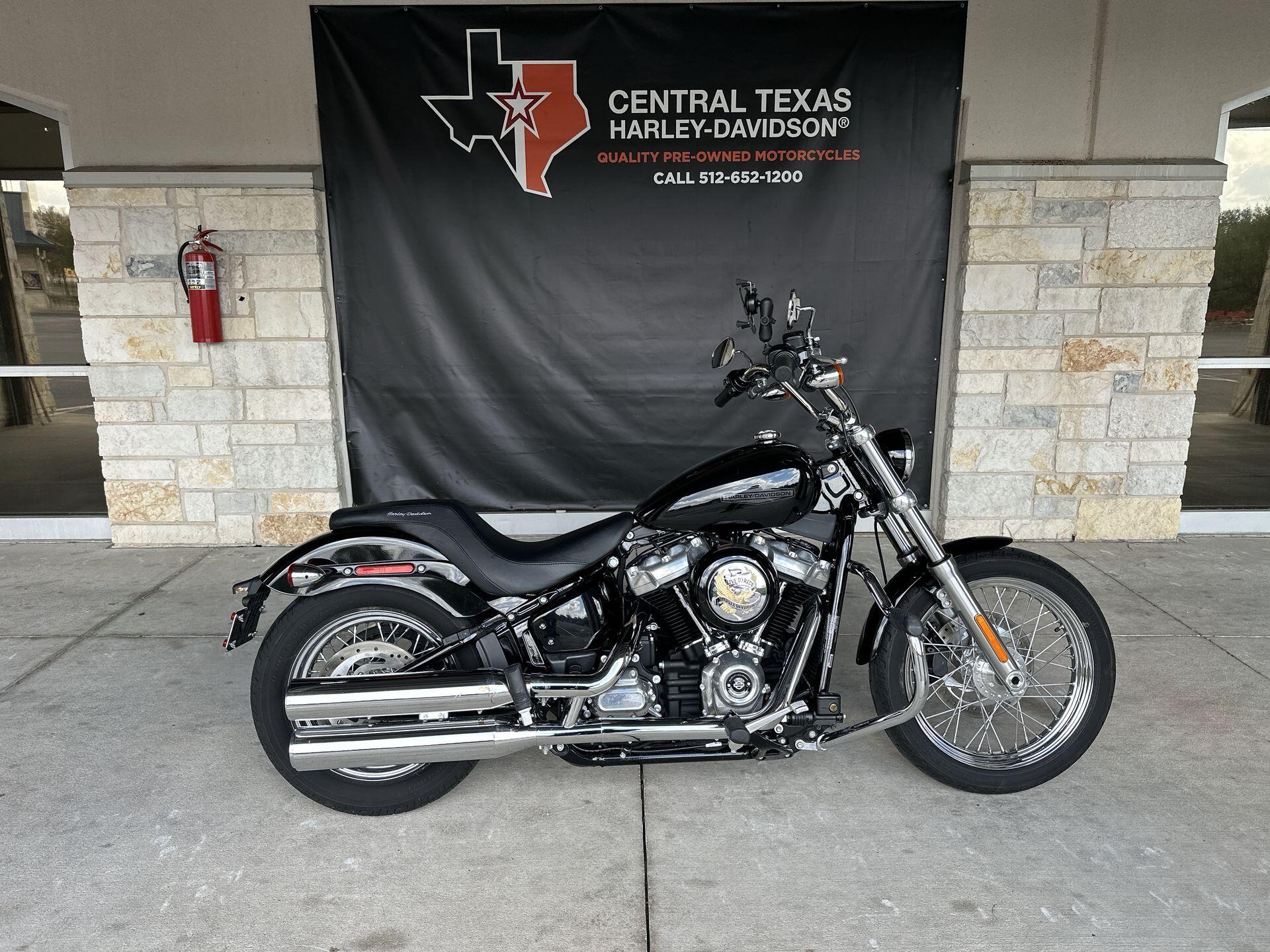 Softail Standard® | Black Gold Harley-Davidson®