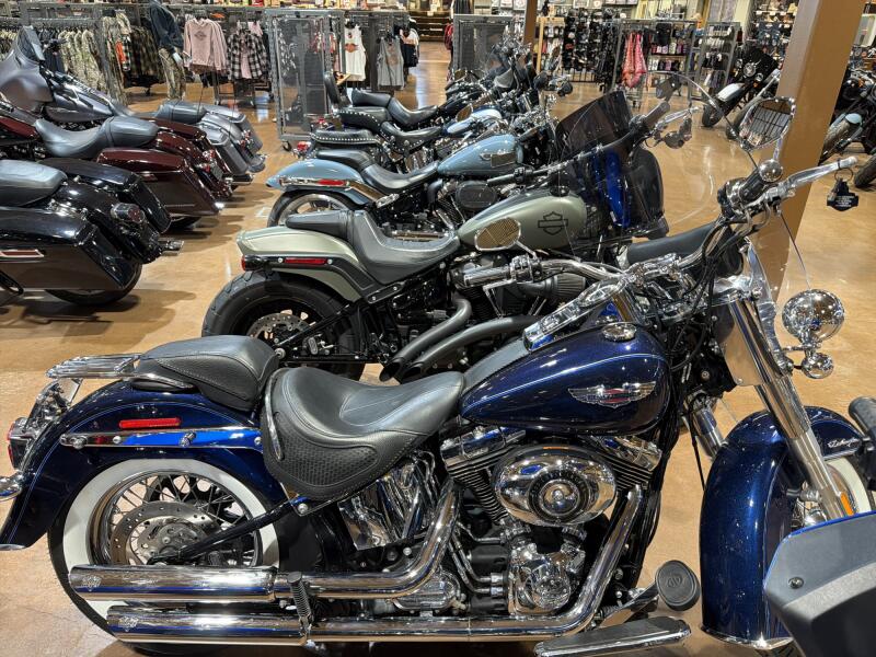 Used Harley-Davidson® Softail Deluxe Motorcycles for sale near